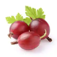 қарлыған4