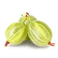 қарлыған3