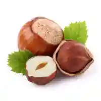 жаңғақ