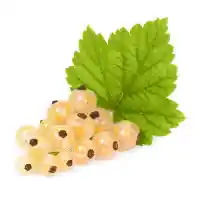 қарақат1